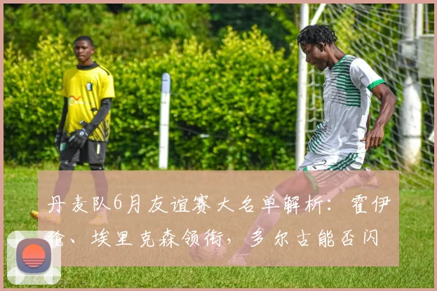 丹麦队6月友谊赛大名单解析：霍伊伦、埃里克森领衔，多尔古能否闪耀？